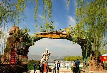 享水湾水上乐园第 1 张图片