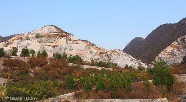 化石小猎人活动基地