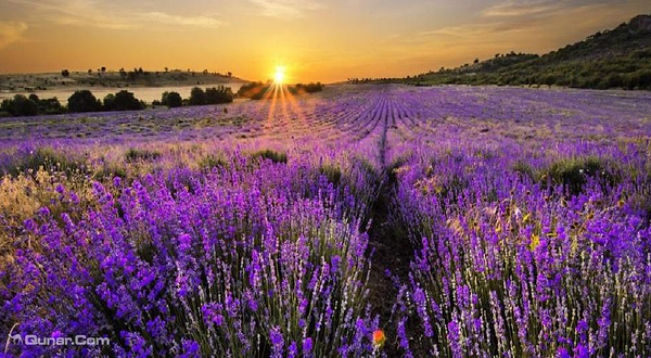 宋香园生态世界