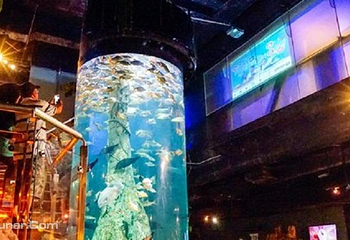 吉隆坡城中城水族馆第 4 张图片