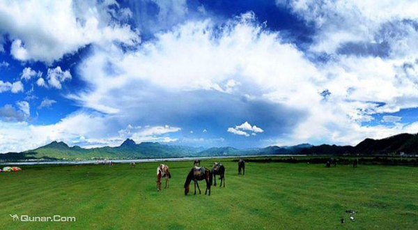 拉市海海美达巴骑马场