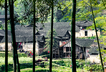抗战古村落-阳雀坡景区第 3 张图片
