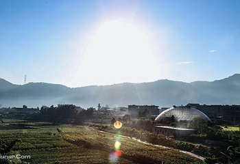 相思岭第 1 张图片