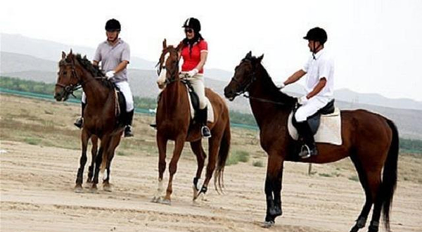 酬勤马术俱乐部