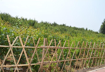 大雁滩景区第 7 张图片