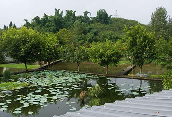 花花世界第 14 张图片