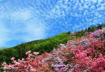 英山县天马寨风景区第 2 张图片