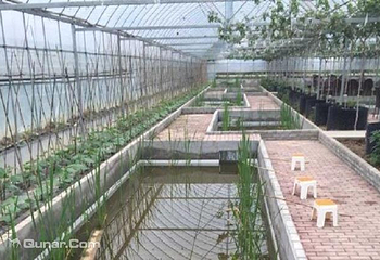 东方瓜果城第 3 张图片