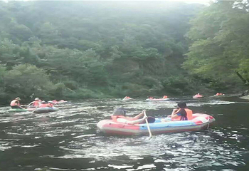 晓起林海漂流第 13 张图片