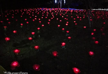 徽园第 7 张图片