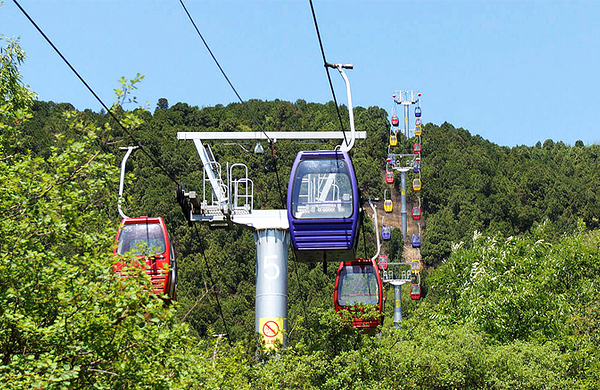 八大处《觉悟菩提佛牙舍利传奇》3d电影票