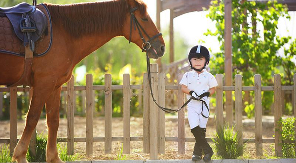 蓝调国际马术俱乐部