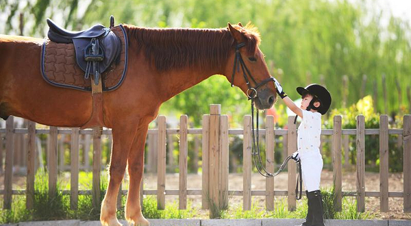 花儿马术俱乐部