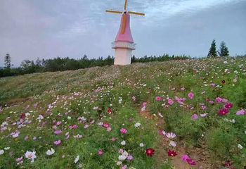 苏马荡大花谷景区第 12 张图片