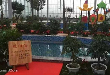 东胜康佳温泉第 6 张图片