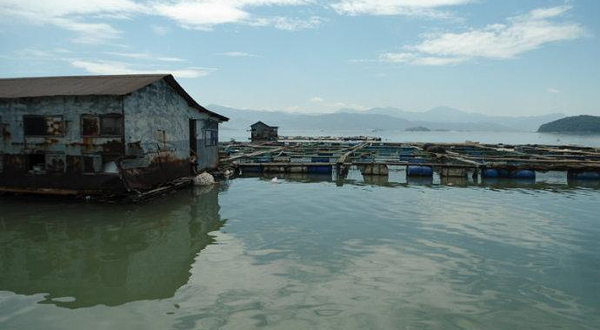 莼湖栖凤小普陀