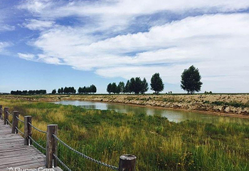 龙安桥国家湿地公园第 9 张图片