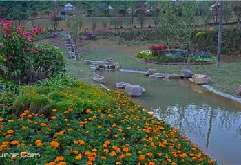 百花谷旅游度假区第 2 张图片