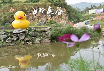 如莱谷漂流第 12 张图片