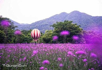 香溪花谷景区第 3 张图片