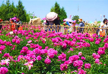 和林格尔县南山旅游景区第 12 张图片