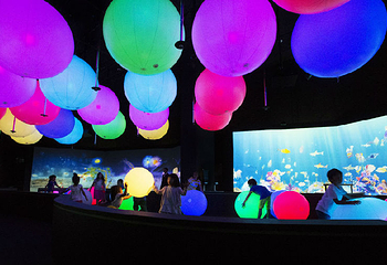 青岛万象城Teamlab“未来游乐园”第 7 张图片
