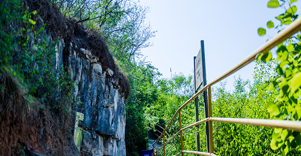 门票 玻璃栈道 观景台 风车 溶洞 云南表演 观光道 雨林谷