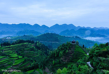 伍家台贡茶文化旅游区第 4 张图片