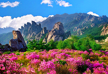 崂山风景区第 58 张图片