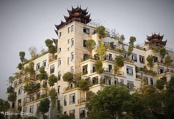 龙天小镇第 11 张图片