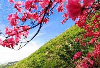 英山县天马寨风景区第 3 张图片