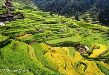融水苗山第 2 张图片