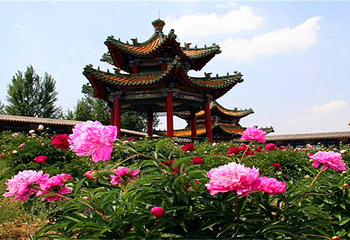 和林格尔县南山旅游景区第 11 张图片