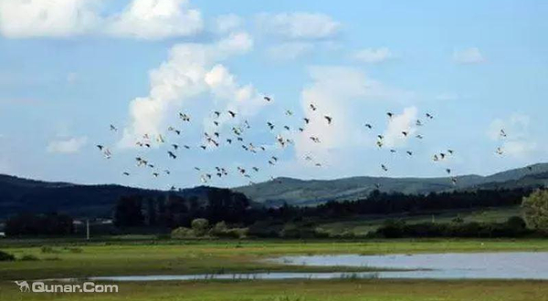 鴜鹭湖生态旅游度假区