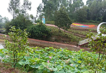 花花世界第 12 张图片