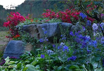 百花谷旅游度假区第 3 张图片