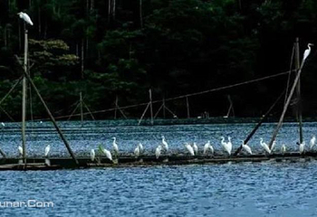 天堂湖游船第 3 张图片
