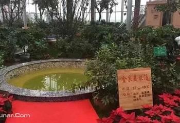 东胜康佳温泉第 7 张图片