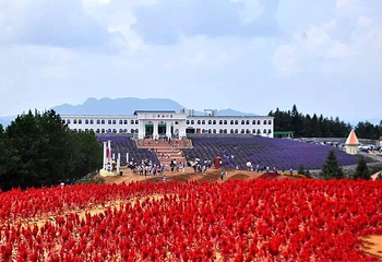 苏马荡大花谷景区第 13 张图片