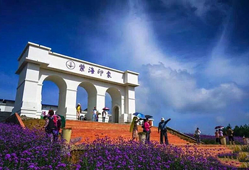 苏马荡大花谷景区第 9 张图片
