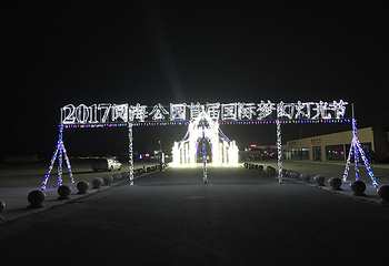 阅海公园国际梦幻灯光节第 1 张图片