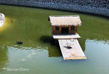 汴京公园动物园第 5 张图片