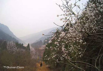 桃花山风景区第 3 张图片