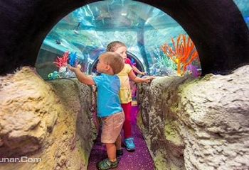 奥兰多海洋生物水族馆第 3 张图片