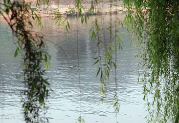 沃州湖风景名胜区第 3 张图片