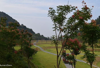 磨基山森林公园第 2 张图片
