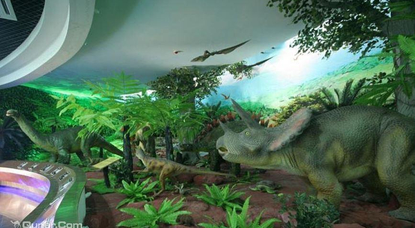 中国桫椤博物馆