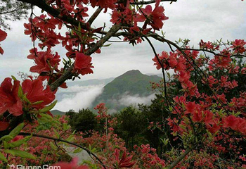 兴山仙侣山第 2 张图片