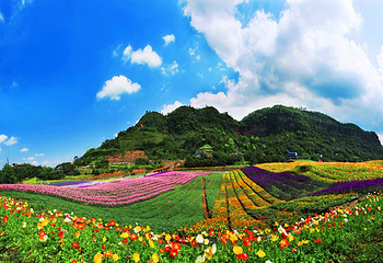 清溪谷旅游区-花田酒地景区第 37 张图片