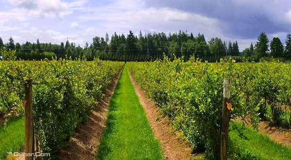 万家欢生态庄园